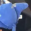かなのプロフィール画像