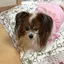 kumiのプロフィール画像