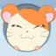 ハム太郎のプロフィール画像