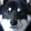 優のプロフィール画像