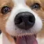 ちーこのプロフィール画像
