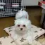 tomomiのプロフィール画像