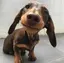 miのプロフィール画像