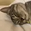 りなのプロフィール画像