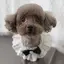 ほしかのプロフィール画像