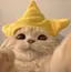 zzzUのプロフィール画像