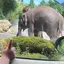 Minamiのプロフィール画像