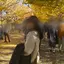 陽菜のプロフィール画像