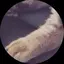 らすくのプロフィール画像