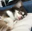 sayakaのプロフィール画像