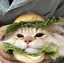 yuのプロフィール画像