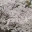 かずきのプロフィール画像