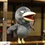 くらちゃん(５さい)のプロフィール画像