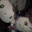 あやかのプロフィール画像