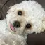 あかりのプロフィール画像