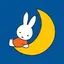 月のプロフィール画像