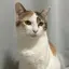 あーちゃんのプロフィール画像