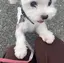 小雪のプロフィール画像