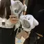 A♡のプロフィール画像
