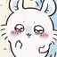 はちゃんのプロフィール画像