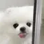 ぱにゃんのプロフィール画像