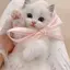 かのプロフィール画像