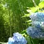 さおりのプロフィール画像
