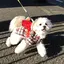 Aのプロフィール画像