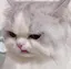 かのプロフィール画像