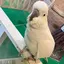あやもんのプロフィール画像