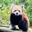 22のプロフィール画像