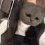 杏珠のプロフィール画像