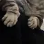 udaのプロフィール画像