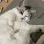 ヒナのプロフィール画像