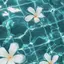 moaのプロフィール画像