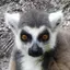 Annaのプロフィール画像