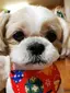ひだかのプロフィール画像