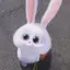 ゆずのプロフィール画像