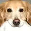 ななのプロフィール画像