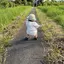そたまるままのプロフィール画像