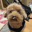 Minaのプロフィール画像