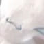 ᡣ𐭩のプロフィール画像