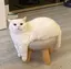 みのプロフィール画像