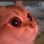 サヤカのプロフィール画像