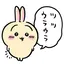 ウサギのプロフィール画像