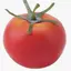 tomatoのプロフィール画像