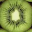 キウイのプロフィール画像
