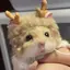 🐹のプロフィール画像
