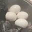 たまごのプロフィール画像