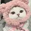 猫3歳のプロフィール画像